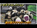トモダチコレクション　旅行東アジアツアーに行く　島の住人観察日記（ポケモン編）　＃２４１　【トモコレわくわく生活】