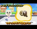 トモダチコレクション　モザイククイズでお宝ゲット　島の住人観察日記（ポケモン編）　＃２４５　【トモコレわくわく生活】