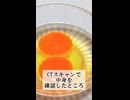 1700年前の卵、中身どうなってる？