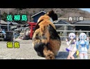 雪さん＆ななさんののんびり離島旅 ～佐柳島～