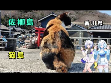 雪さん＆ななさんののんびり離島旅 ～佐柳島～