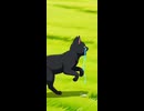 双子の猫。㊸(迷い猫編)(AI動画)