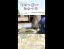 【うさぎ 13歳･5歳】おやつ前～おやつ中