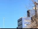 最近のお散歩を動画にしてみた