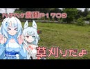 2026年4月28日　日記P1709　今日も今日とて草刈りを頑張りましょう