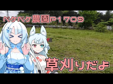 2026年4月28日　日記P1709　今日も今日とて草刈りを頑張りましょう
