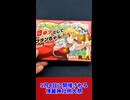 【5/4博麗神社例大祭】フランちゃんグッズ紹介！【フランちゃんの可愛さは世界を救う】