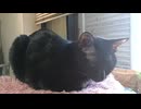 外がきになったこま