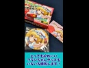 【5/4博麗神社例大祭】フランちゃんグッズ紹介！【睡眠時間を削ってまでやりたい遊戯】