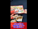 【5/4博麗神社例大祭】フランちゃんグッズ紹介！【アナログ13ab有限浪漫：博麗神社例大祭】
