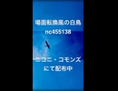 場面転換っぽい白鳥
