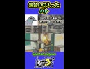 【スプラ3】気合いの入ったハト