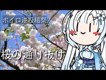 【ボイロ逆投稿祭】雪さんのナレーションで見る 造幣局 桜の通り抜け【二週間投稿祭投稿祭】