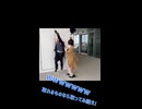 【文スト】馬鹿か手前ェ！！【コスプレ】