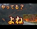 20260427_これ‥やってる？よね。　#山火事　#自給自足　#不審