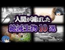 【ゆっくり解説】人間によって絶滅させられた生物10選