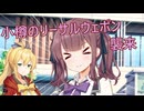 小樽のリーサルウェポン襲来【ソフトウェアトーク劇場】