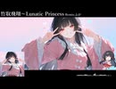 【EUROBEAT】竹取飛翔～Lunatic Princess remake