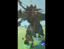【ティアキン】西ハイラル平原のライネル ゼルダの伝説ティアーズオブザキングダム