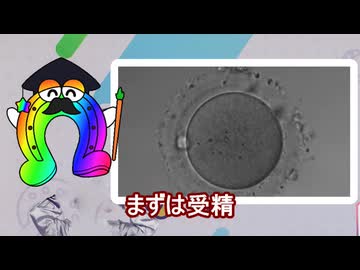 【＃ウマ娘】まずは受精【＃タモリ倶楽部】