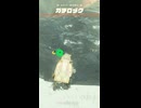 【ティアキン】ルチマー高地東のガチロック ゼルダの伝説ティアーズオブザキングダム