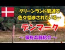 【ゆっくり解説】マイナー軍隊解説! デンマークの軍事力 ～グリーンランド関連(主にTACO)で色々頭を悩ましている・・～