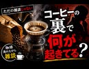 珈琲豆袋開封　珈琲淹れる　雑談　世界の構造　シオニスト