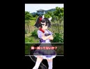 【ウマ娘】エースはいい子だから幻覚に決まってるな！