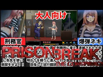 [おかしな刑務所と地下迷宮]大人向けプリズンブレイクがガチ過ぎて回避不可[大人向け同人ゲーム紹介]