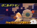 ぽこあポケモン　うちゅうせんの入手場所は？　＃１０５４　【ぽこポケ】