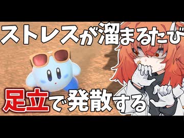 【カービィのエアライダー】 友達と遊ぶエアライダーは楽しいぞい8