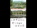 【上伊那ぼたん、酔へる姿は百合の花】聖地巡礼ショート★長瀞