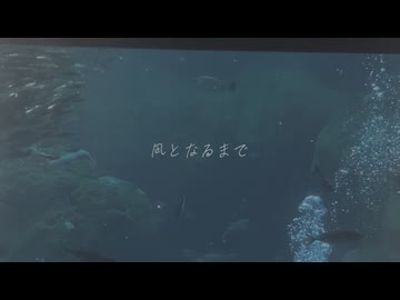 凪 feat.知声