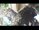 エゾ鹿の母と胎児を慰霊する
