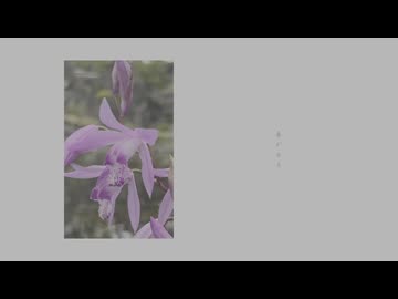 【初音ミク】杜若/ Kakitsubata