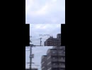 ライト・メロディ　(ボカロ)　ショートMV/作詞・作曲：ツタエタトキ　feat.櫻花アリス　【オリジナル】