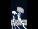 脳がなくても学習できる！？