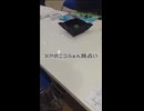 XPのニコふぁん民占いその①