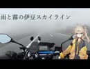 【バイク車載】伊豆スカイライン走ってきた