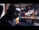 忍者猫がゆく！