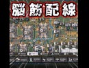 脳筋配線【エンドフィールド】