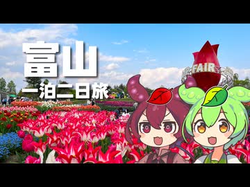 富山観光に行くなら！砺波のチューリップと巡る、山あり海あり1泊2日の旅行レポ