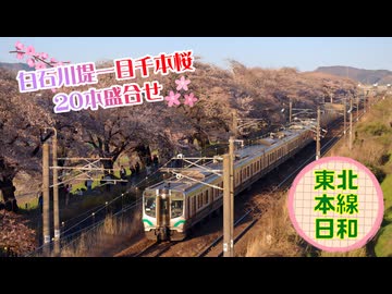 【春爛漫コラボ企画】東北本線日和 # 02 ～白石川堤一目千本桜を行く列車20本盛合せ～