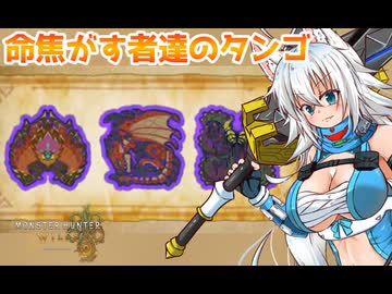 スラアク使いのカミンちゃんがもっと駆け抜ける！ワイルズPart21【MHWilds】