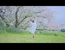 【nin.】花降らし 踊ってみた