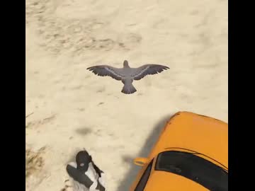 ホモと見る鳩を操作して車を略奪するGTAプレイヤー