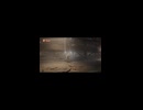 竖屏-PC破解版《忍者龙剑传II：黑》上忍·超难-第四期 (6)