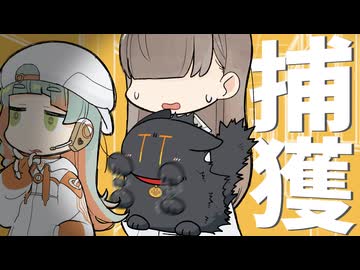 【迷いネコ】前転だけでシャトルラン221回できるワトソンくん【捕獲】