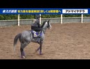 【天皇賞・春】出走予定馬のフォトパドック
