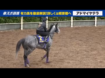 【天皇賞・春】出走予定馬のフォトパドック
